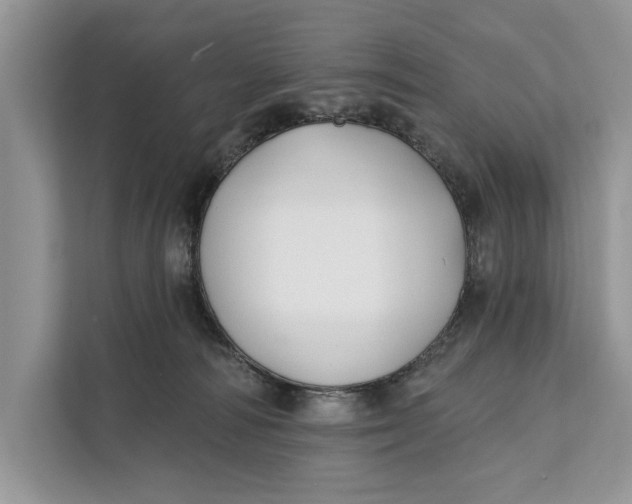 X0000112200226200908281446