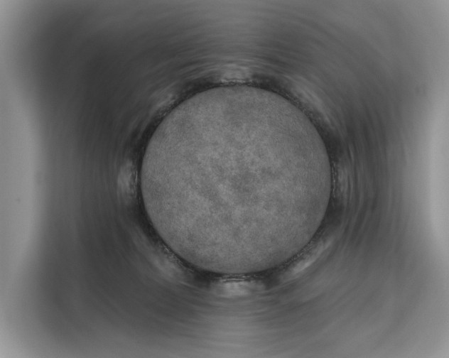 X0000112200228200908281446