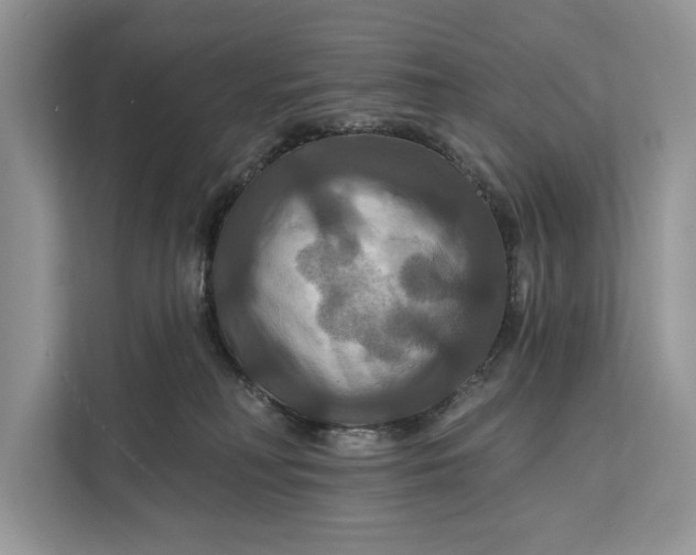 X0000112200230200908281446