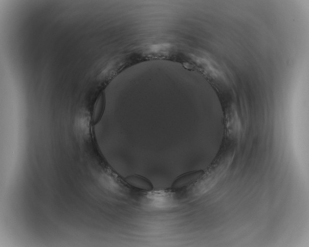 X0000112200231200908281446