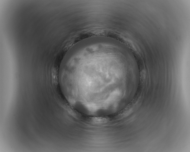 X0000112200234200908281445