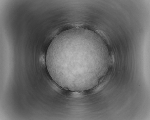 X0000112200238200908281445