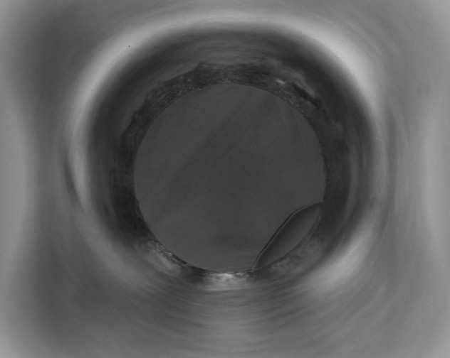 X0000112200239200908281445