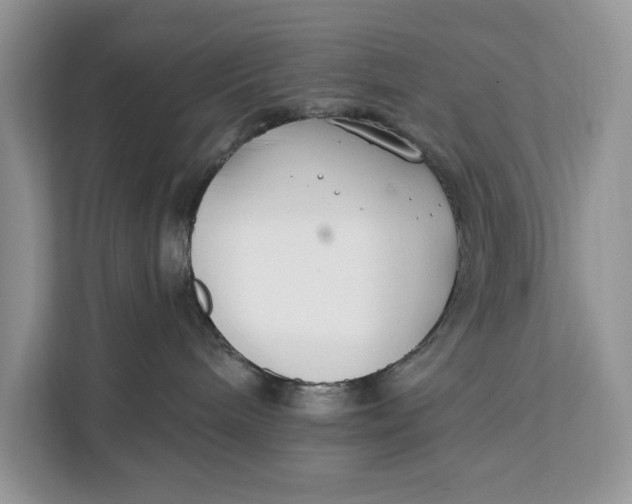 X0000112200240200908281445