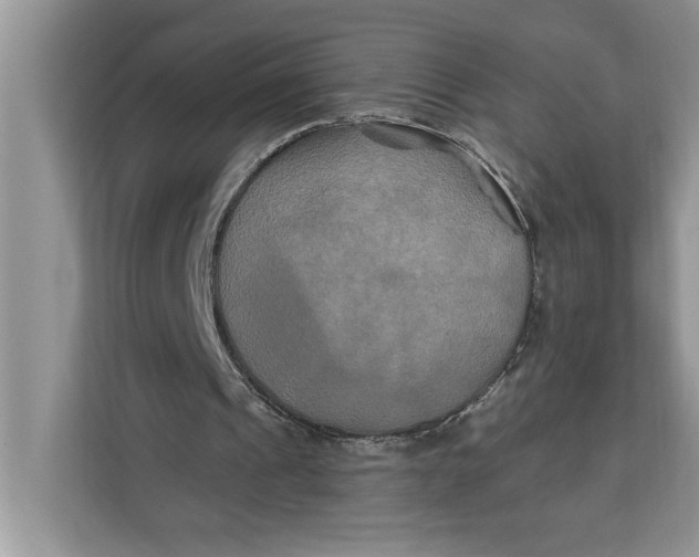 X0000112200241200908281445