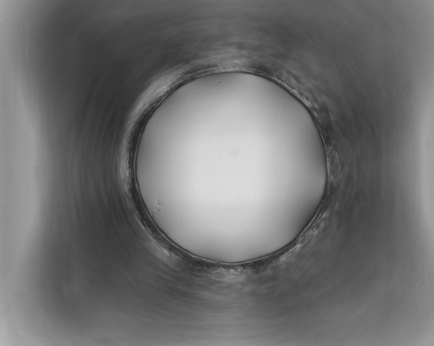 X0000112200245200908281445