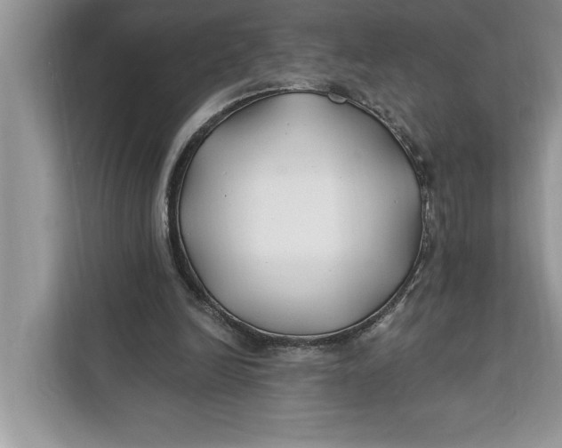 X0000112200246200908281445