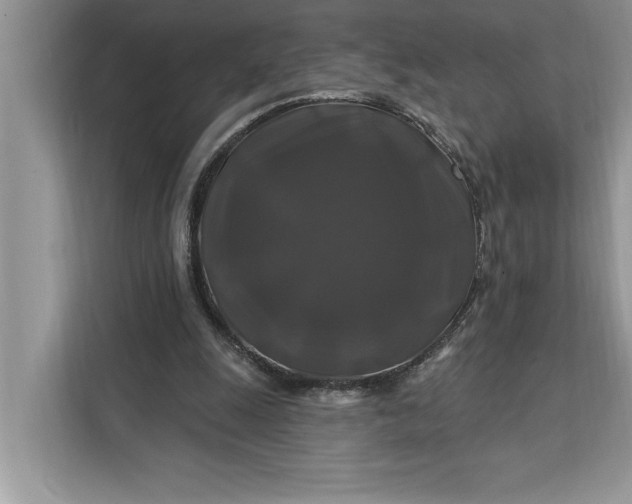 X0000112200247200908281445