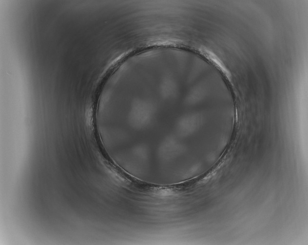 X0000112200249200908281445