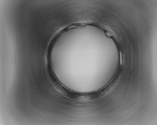 X0000112200252200908281445