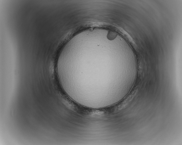 X0000112200257200908281445