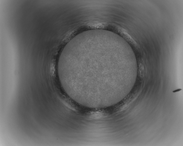 X0000112200259200908281445