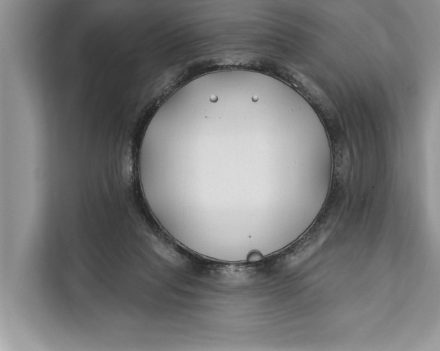 X0000112200261200908281445