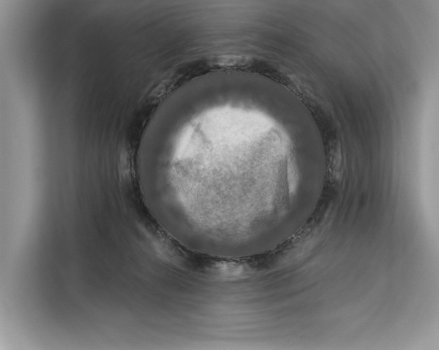 X0000112200272200908281445