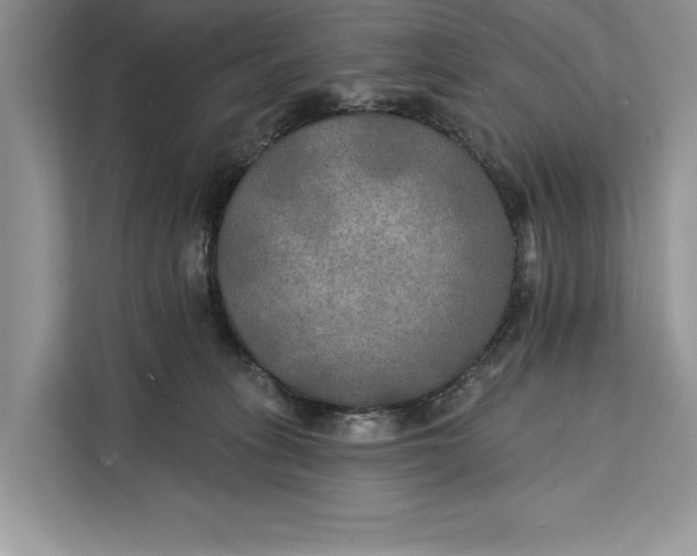 X0000112200275200908281445