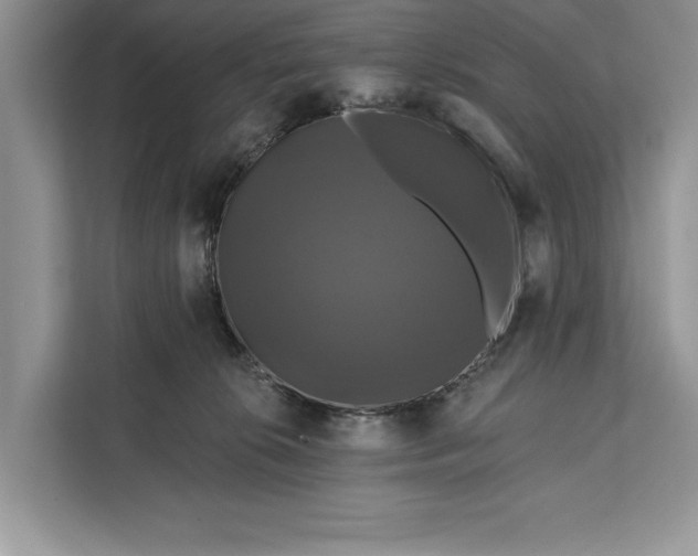 X0000112200276200908281445