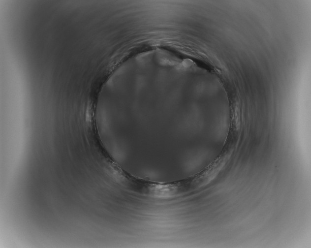 X0000112200277200908281445