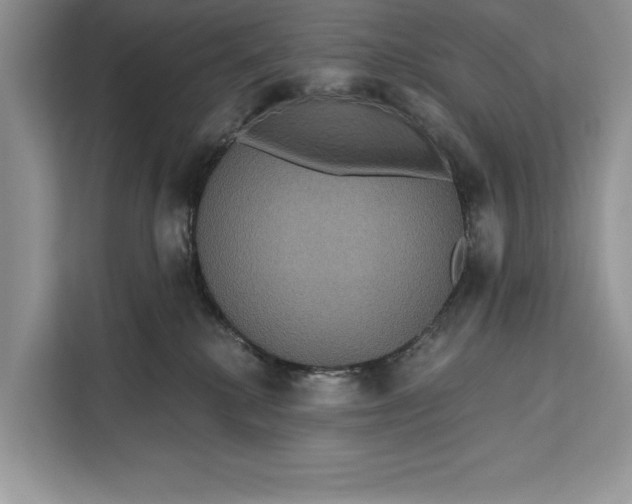 X0000112200280200908281445