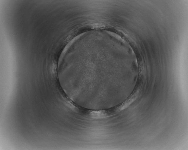 X0000112200281200908281445