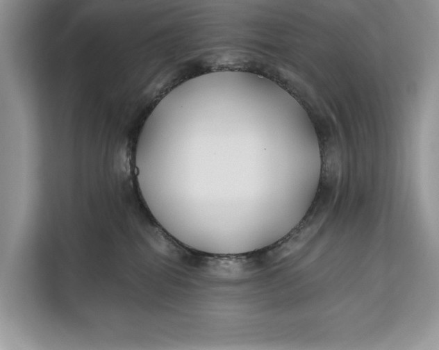 X0000112200282200908281445