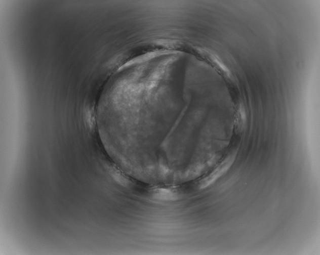 X0000112200285200908281445