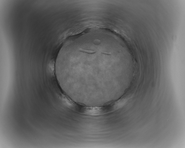 X0000112200288200908281445