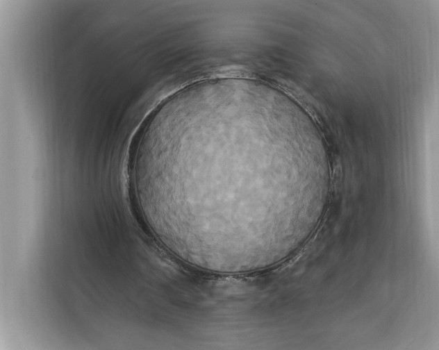 X0000112200290200908281445