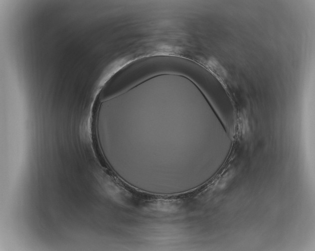 X0000112200292200908281445