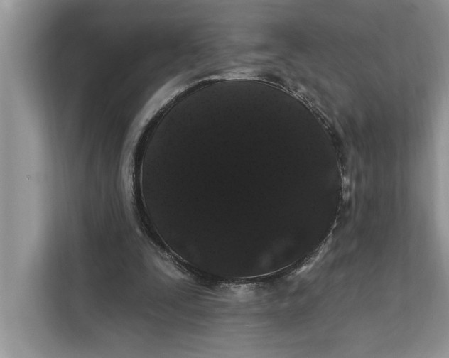 X0000112200295200908281445