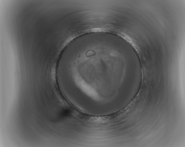 X0000112200297200908281445