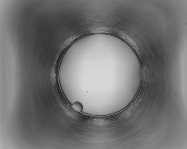 X0000112200298200908281445