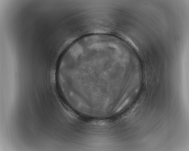 X0000112200299200908281445