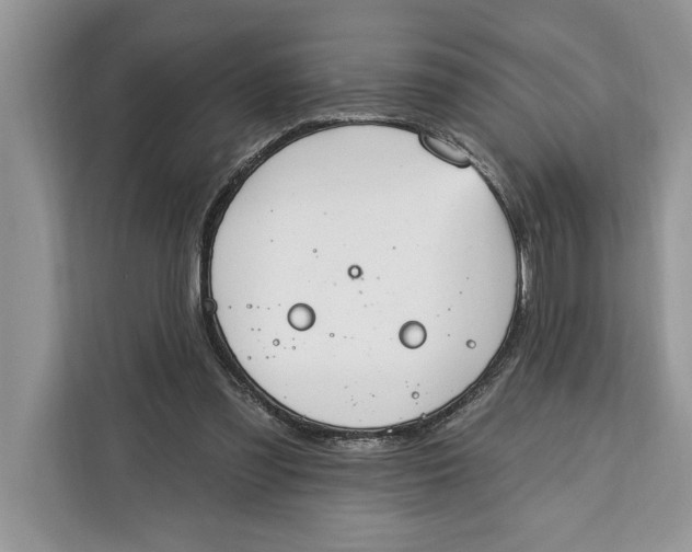 X0000112200301200908281445