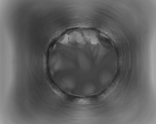 X0000112200303200908281445