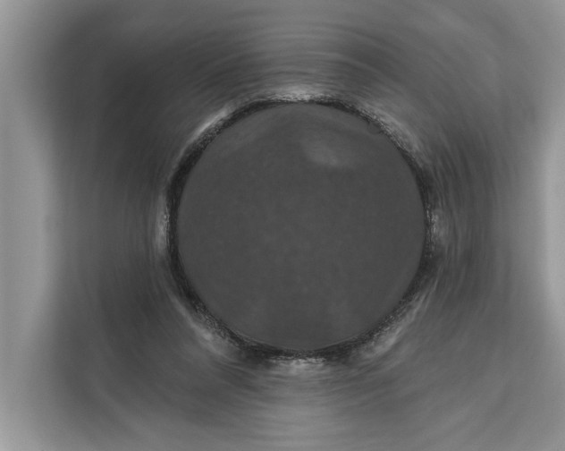 X0000112200304200908281445