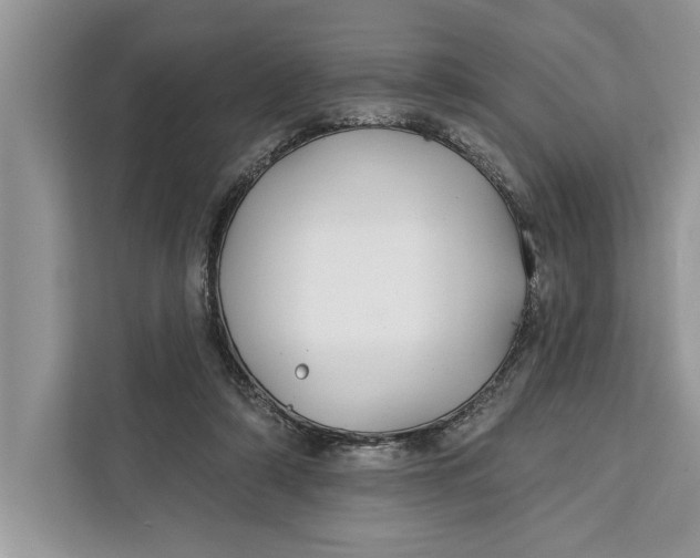 X0000112200306200908281445