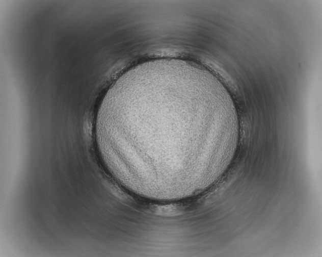 X0000112200309200908281445