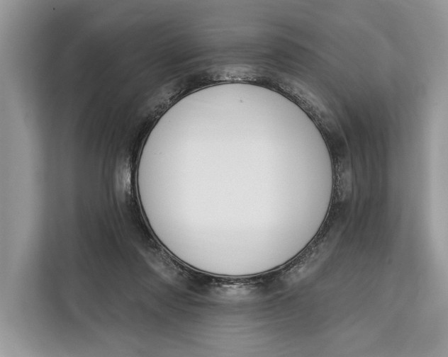 X0000112200310200908281444