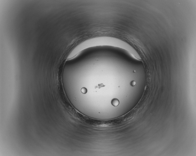 X0000112200312200908281444