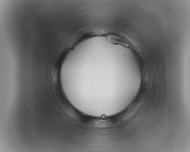 X0000112200315200908281444