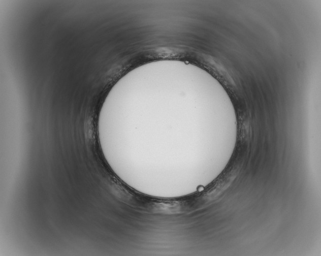 X0000112200317200908281444