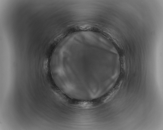 X0000112200319200908281444