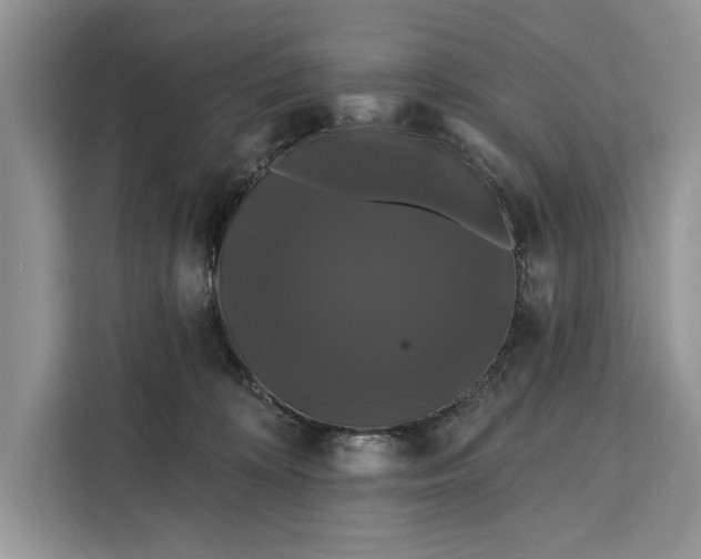 X0000112200324200908281444