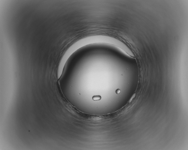 X0000112200325200908281444