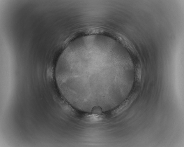 X0000112200326200908281444