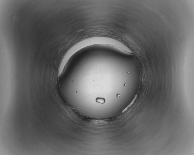 X0000112200327200908281444