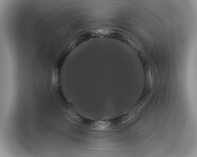 X0000112200328200908281444