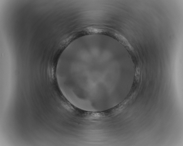 X0000112200330200908281444