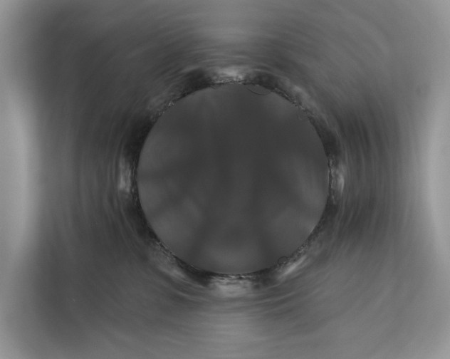 X0000112200331200908281444