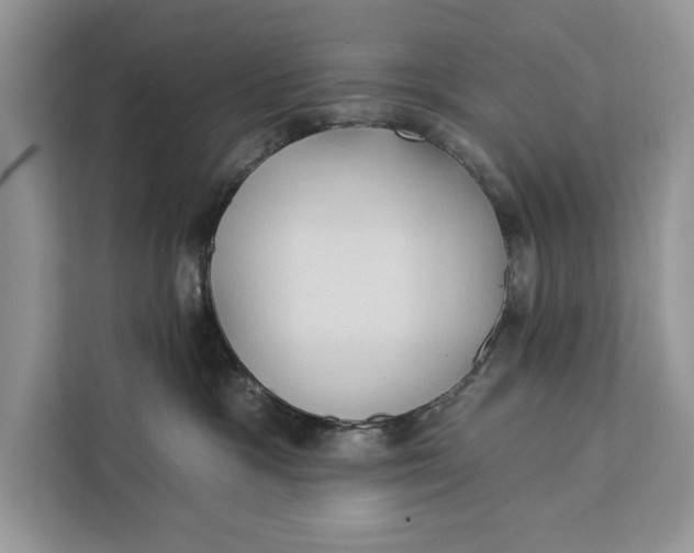 X0000112200333200908281444